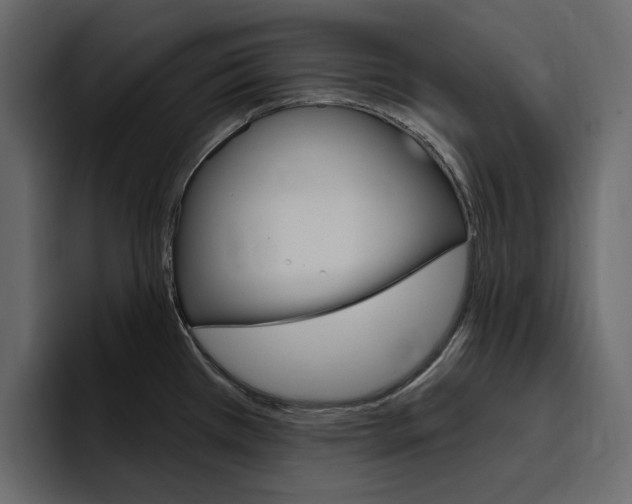 X0000097491385200802220832