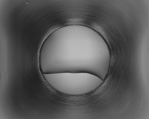 X0000097491386200802220832