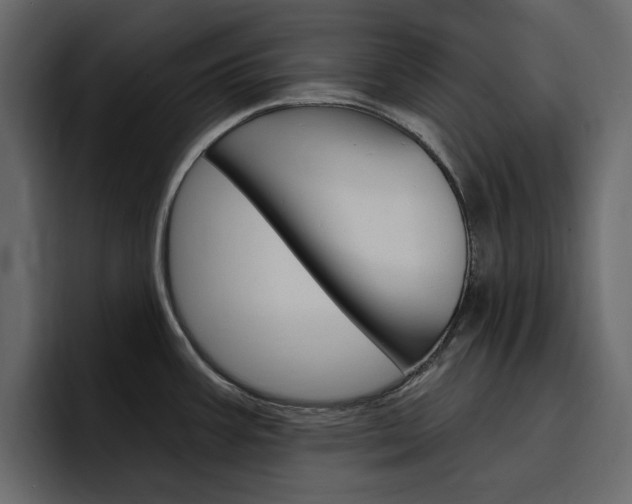 X0000097491387200802220832
