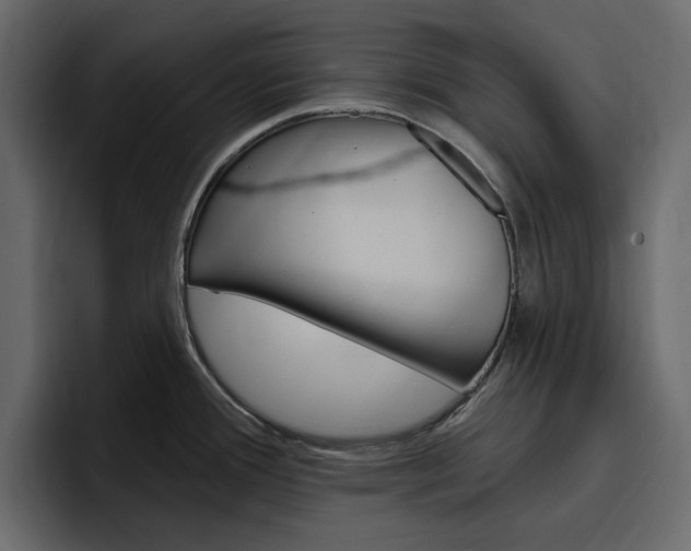 X0000097491388200802220832