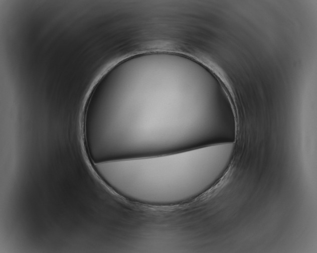 X0000097491389200802220832