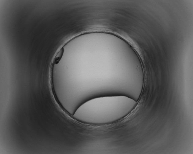 X0000097491390200802220832