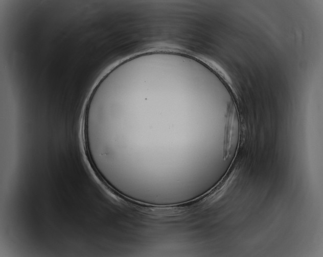 X0000097491391200802220832