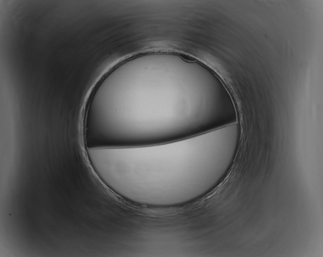 X0000097491392200802220832