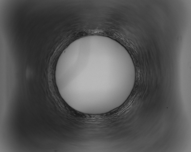 X0000097491393200802220831