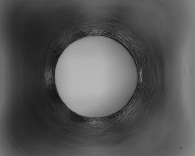 X0000097491395200802220831
