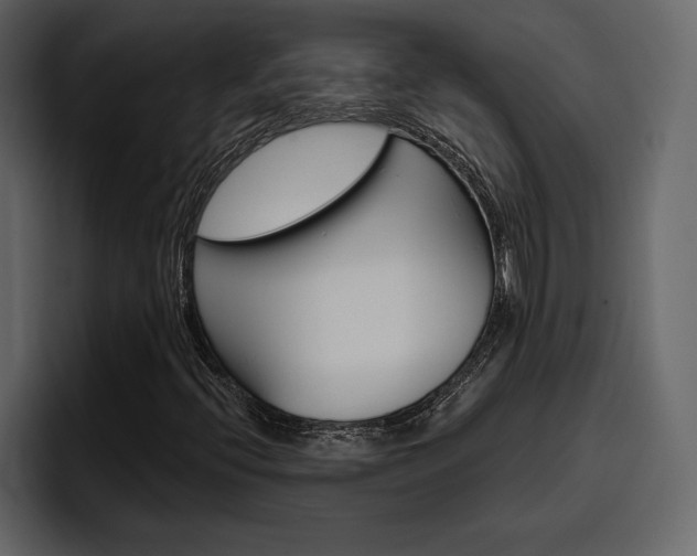 X0000097491396200802220831