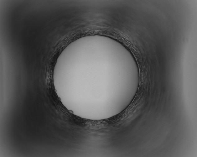 X0000097491397200802220831