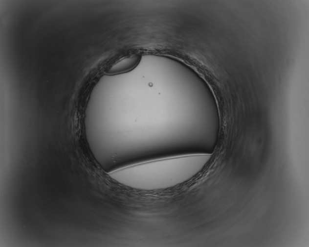 X0000097491398200802220831