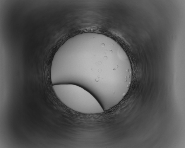 X0000097491399200802220831