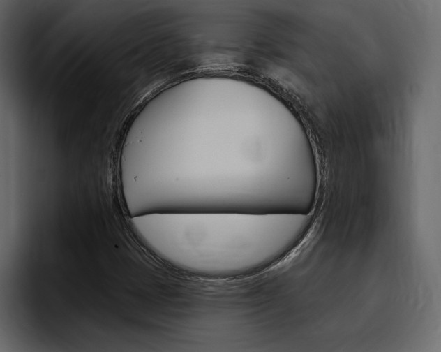 X0000097491401200802220831