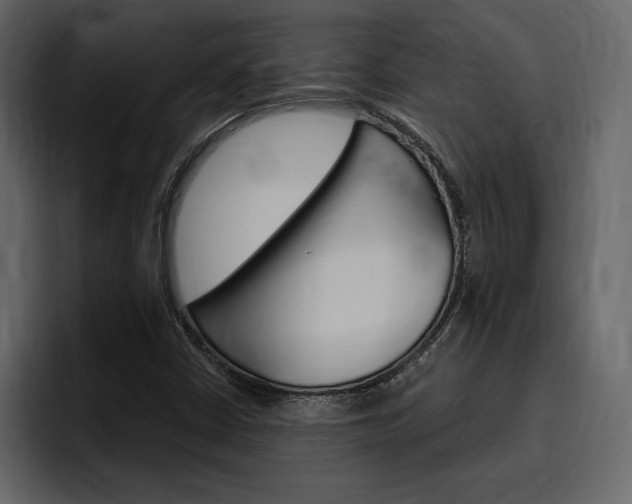 X0000097491402200802220831