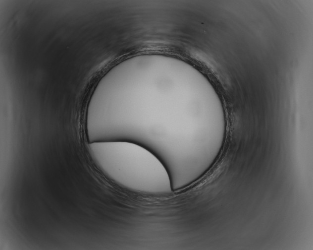 X0000097491403200802220831