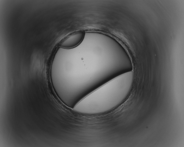 X0000097491404200802220831