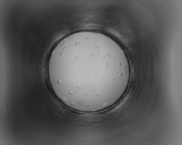 X0000097491405200802220831
