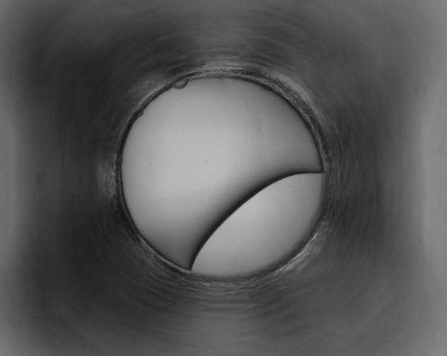 X0000097491409200802220831