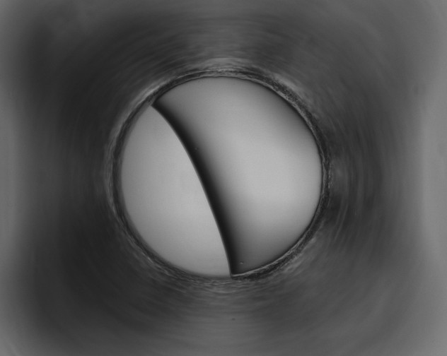 X0000097491410200802220831