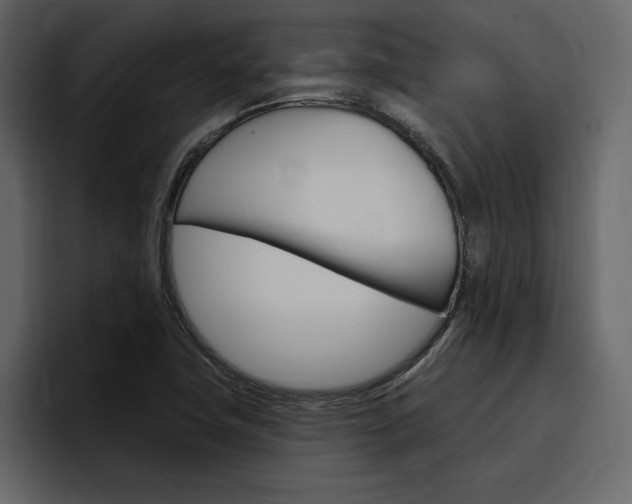 X0000097491411200802220831