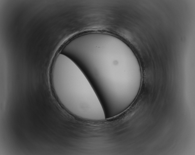 X0000097491412200802220831