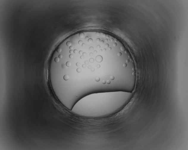X0000097491413200802220831