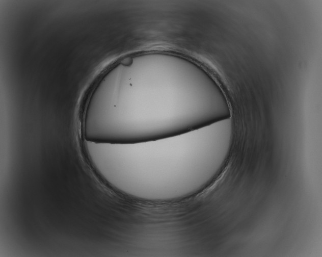 X0000097491414200802220831