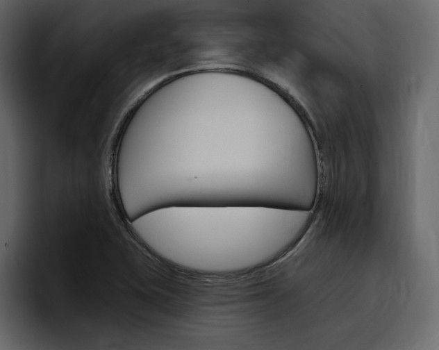 X0000097491415200802220831