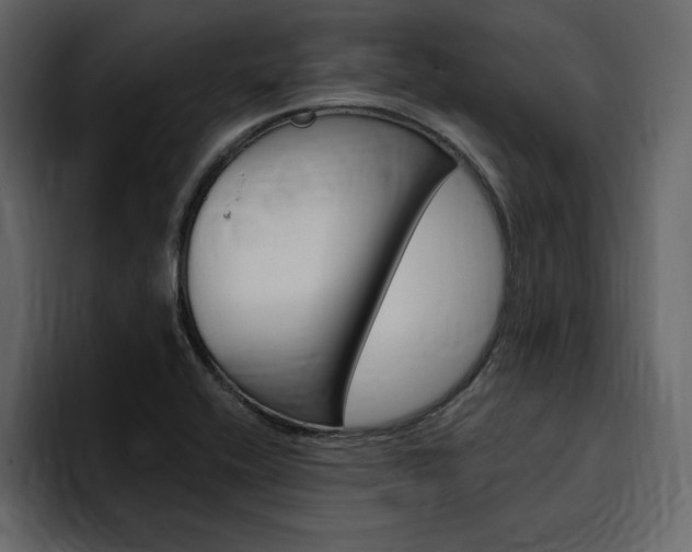 X0000097491416200802220831