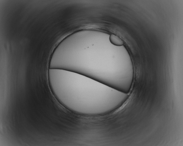 X0000097491417200802220831