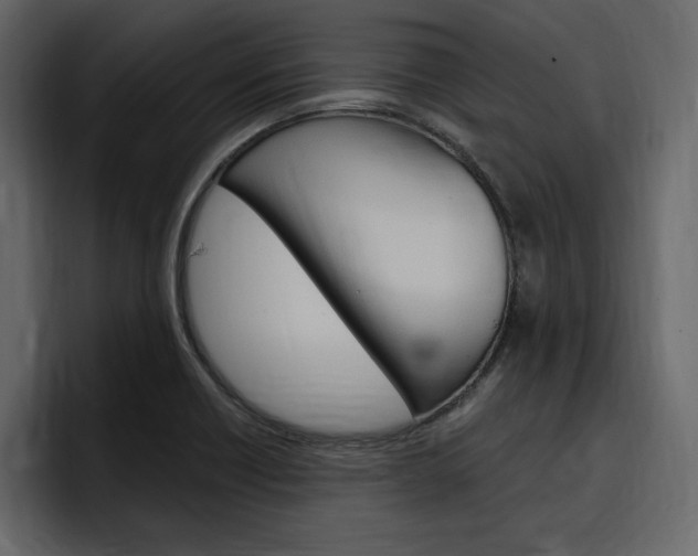 X0000097491418200802220831