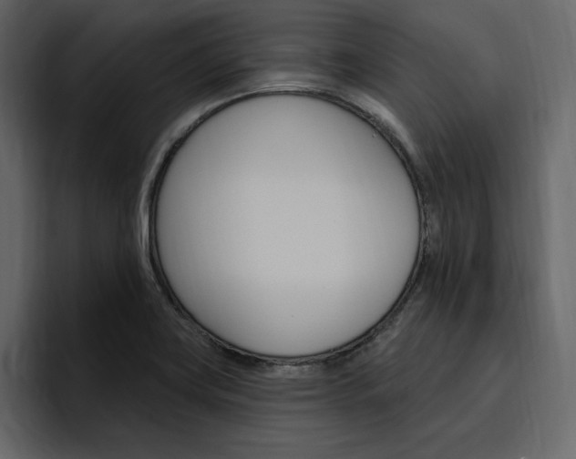 X0000097491419200802220831