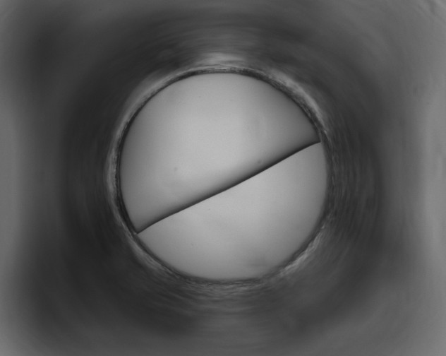 X0000097491421200802220831