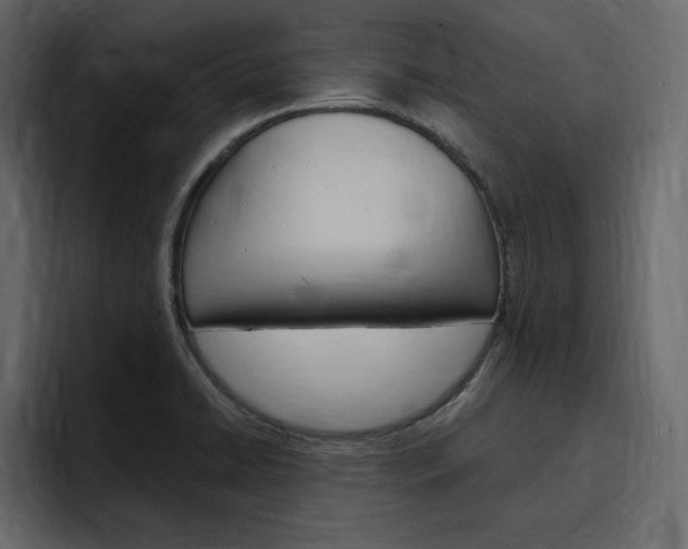 X0000097491422200802220831