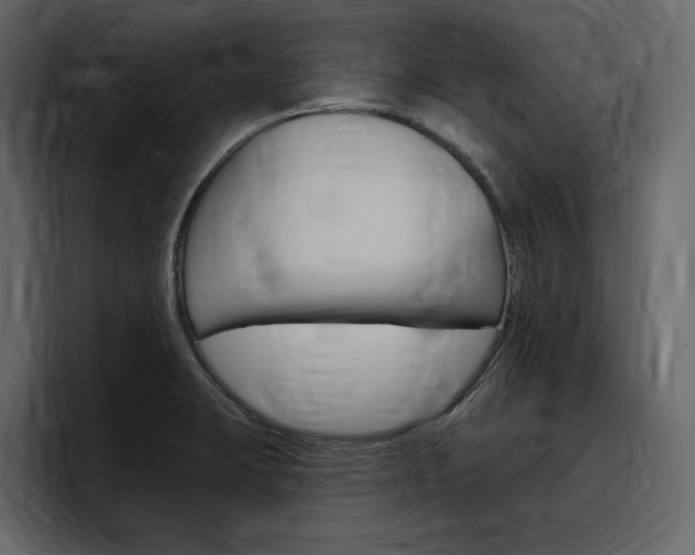 X0000097491423200802220831