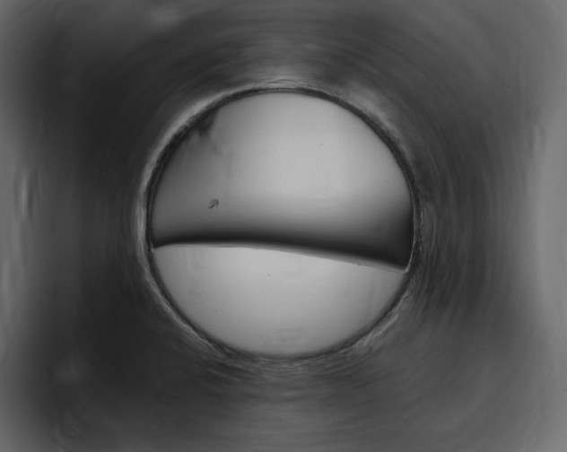 X0000097491424200802220831