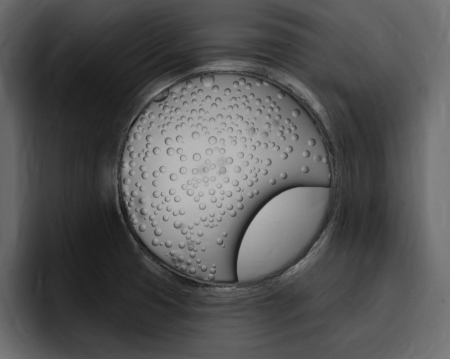 X0000097491425200802220831