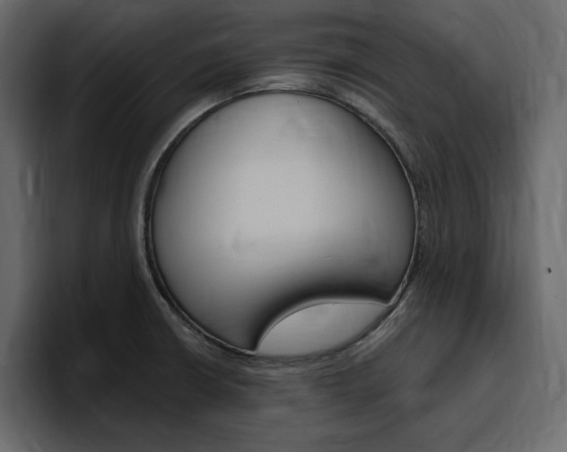 X0000097491426200802220831