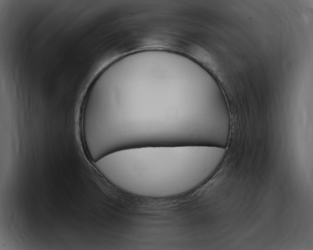 X0000097491427200802220831