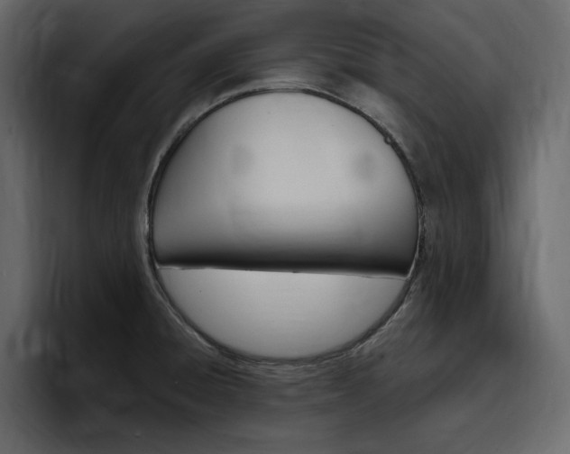 X0000097491428200802220831