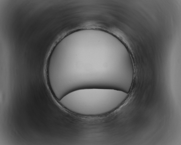 X0000097491429200802220831