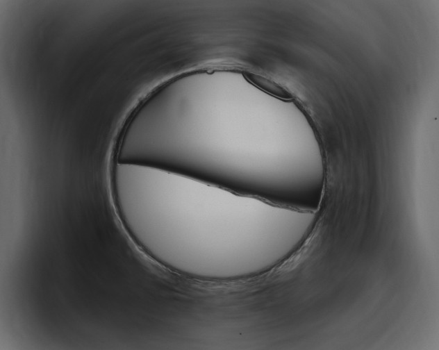 X0000097491430200802220831