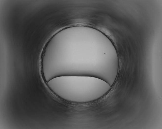 X0000097491431200802220831