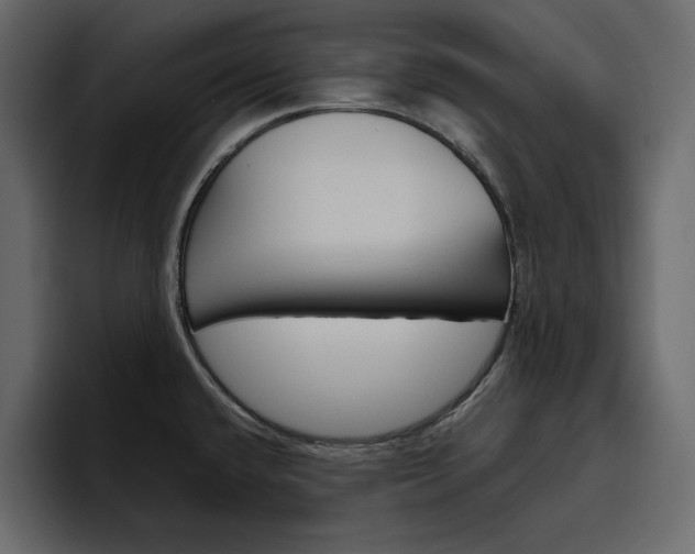 X0000097491432200802220832