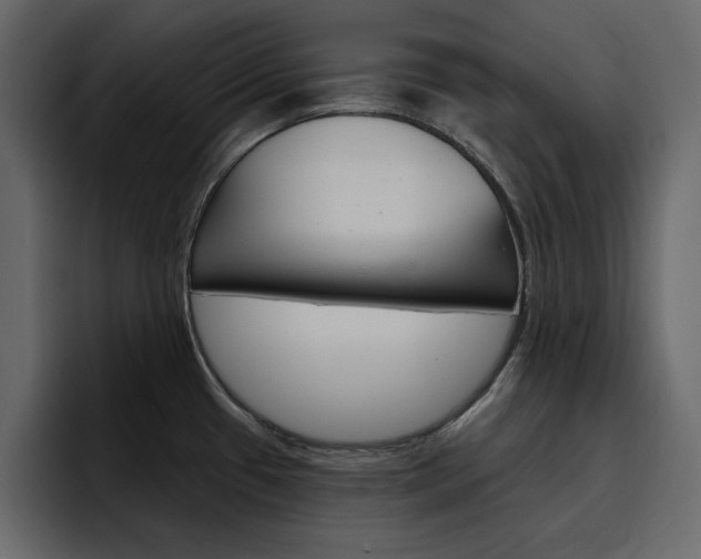 X0000097491433200802220832