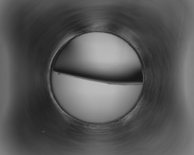 X0000097491434200802220832