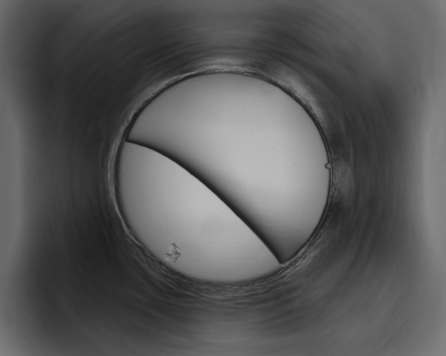 X0000097491435200802220832