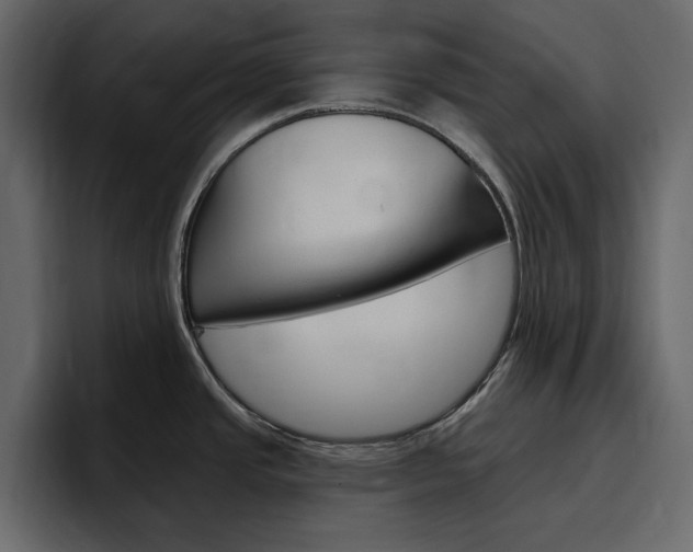 X0000097491437200802220832