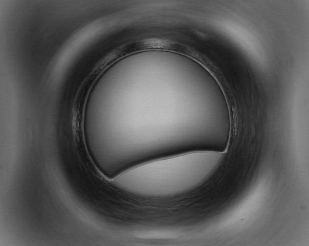 X0000097491438200802220832