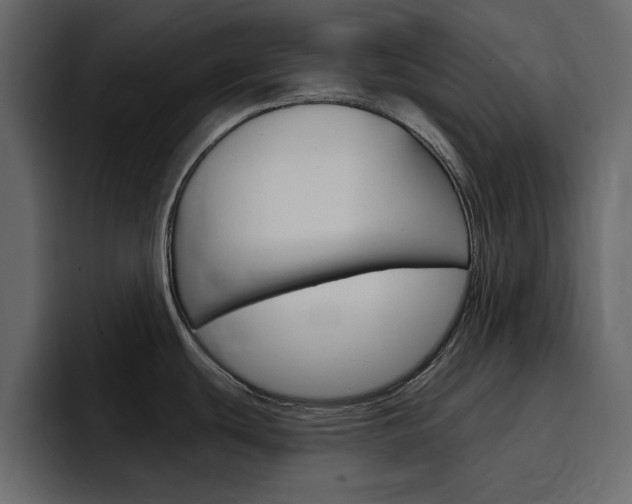 X0000097491439200802220832