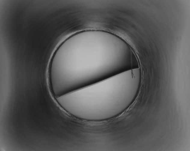 X0000097491440200802220832