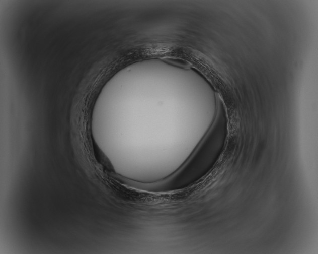 X0000097491441200802220831